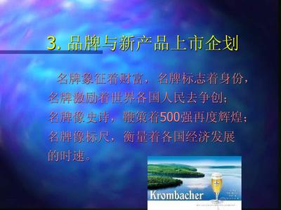 经典实用有价值的企业管理培训课件:国际著名策划公司教程品牌与新品上市企划